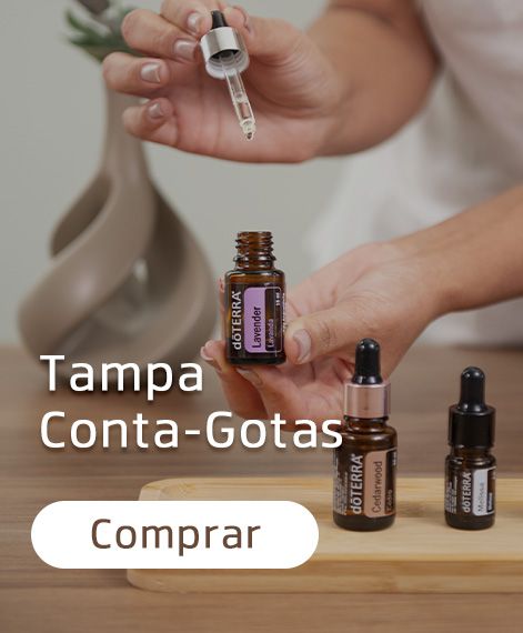 Descrição da imagem