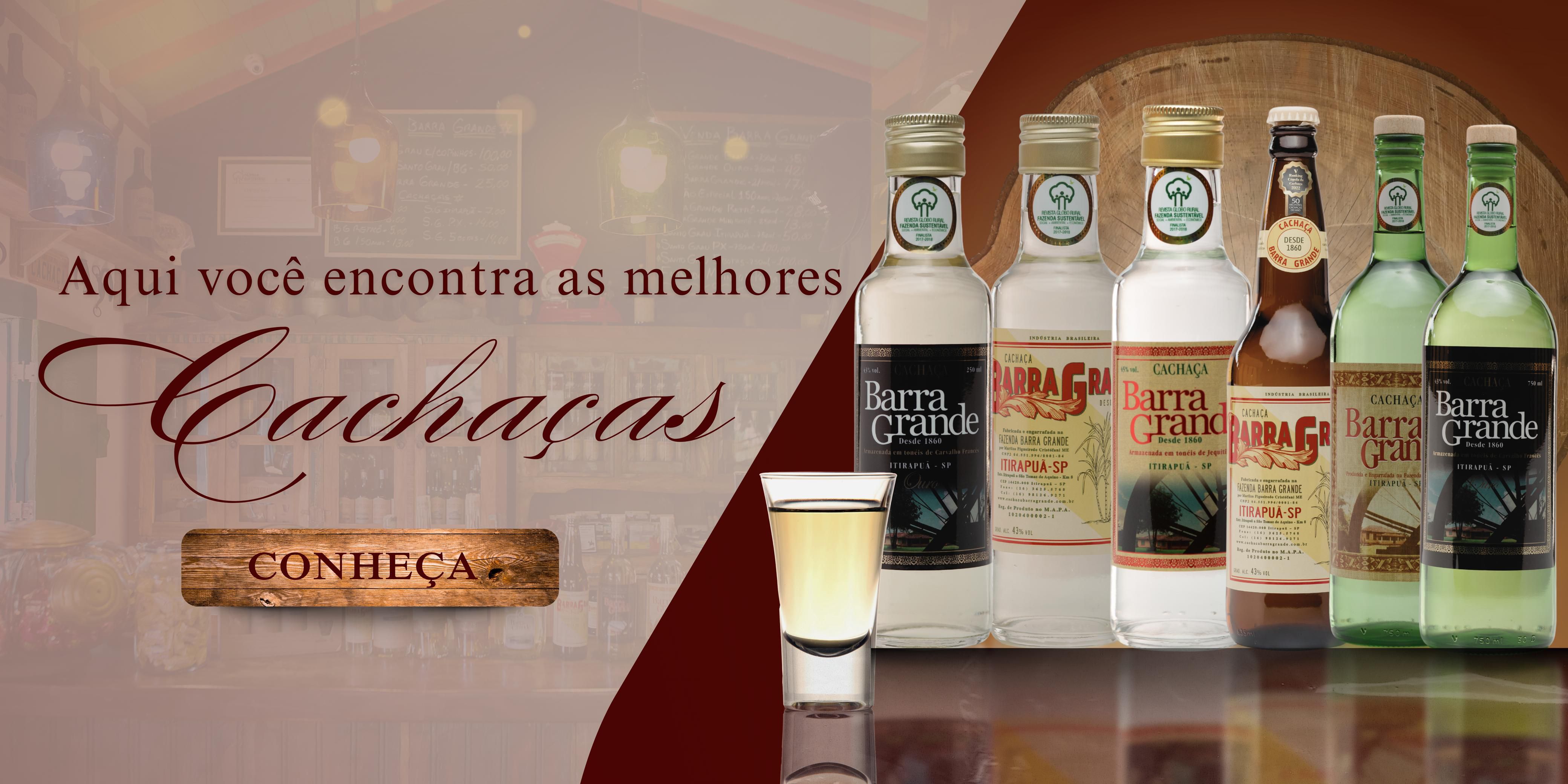 Descrição da imagem