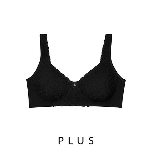 Descrição da imagem