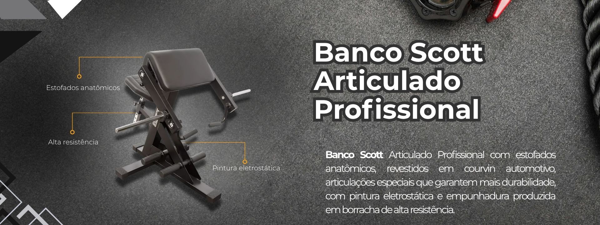 Descrição da imagem
