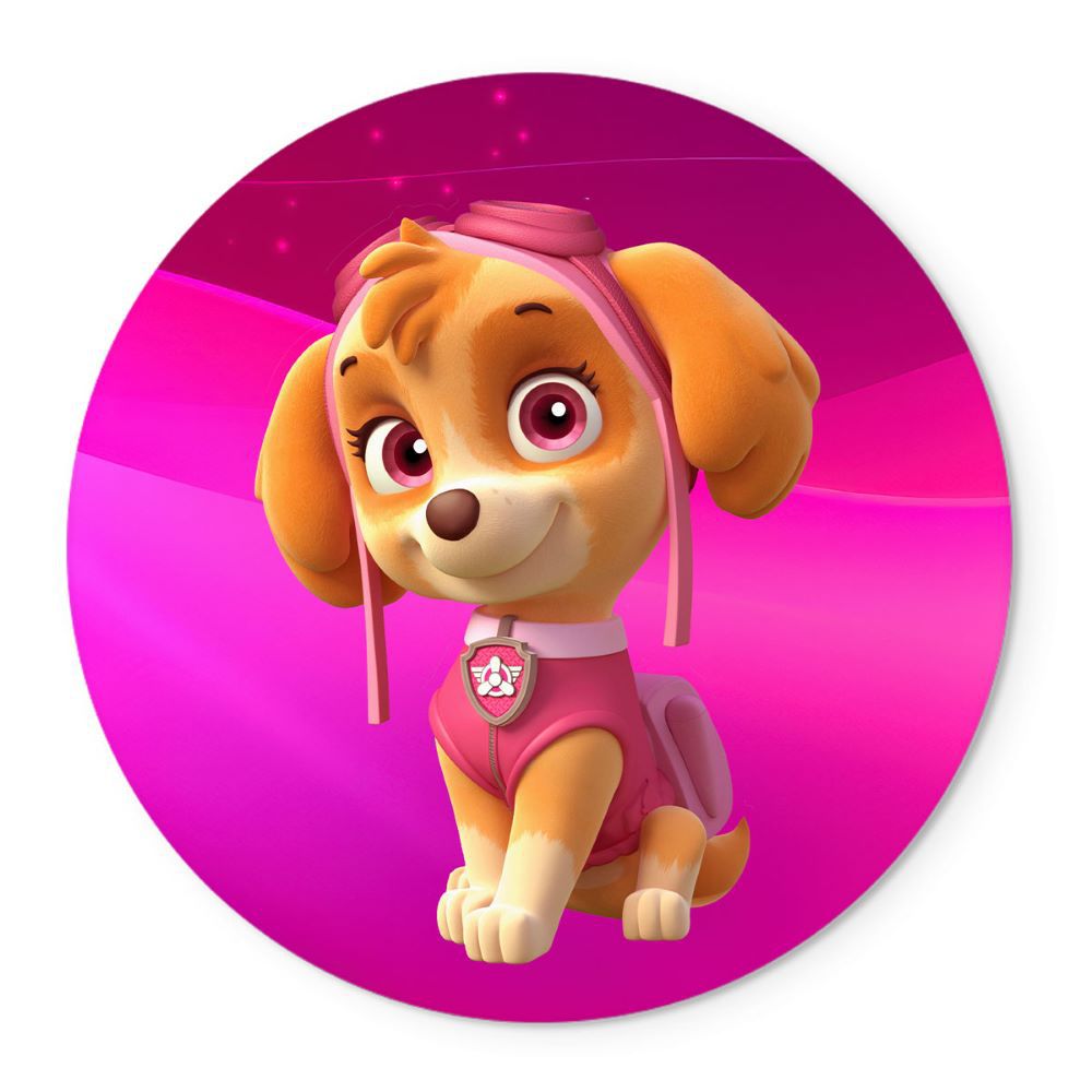 Painel Temático Skye Patrulha Canina Veste Fácil C/ Elástico ...