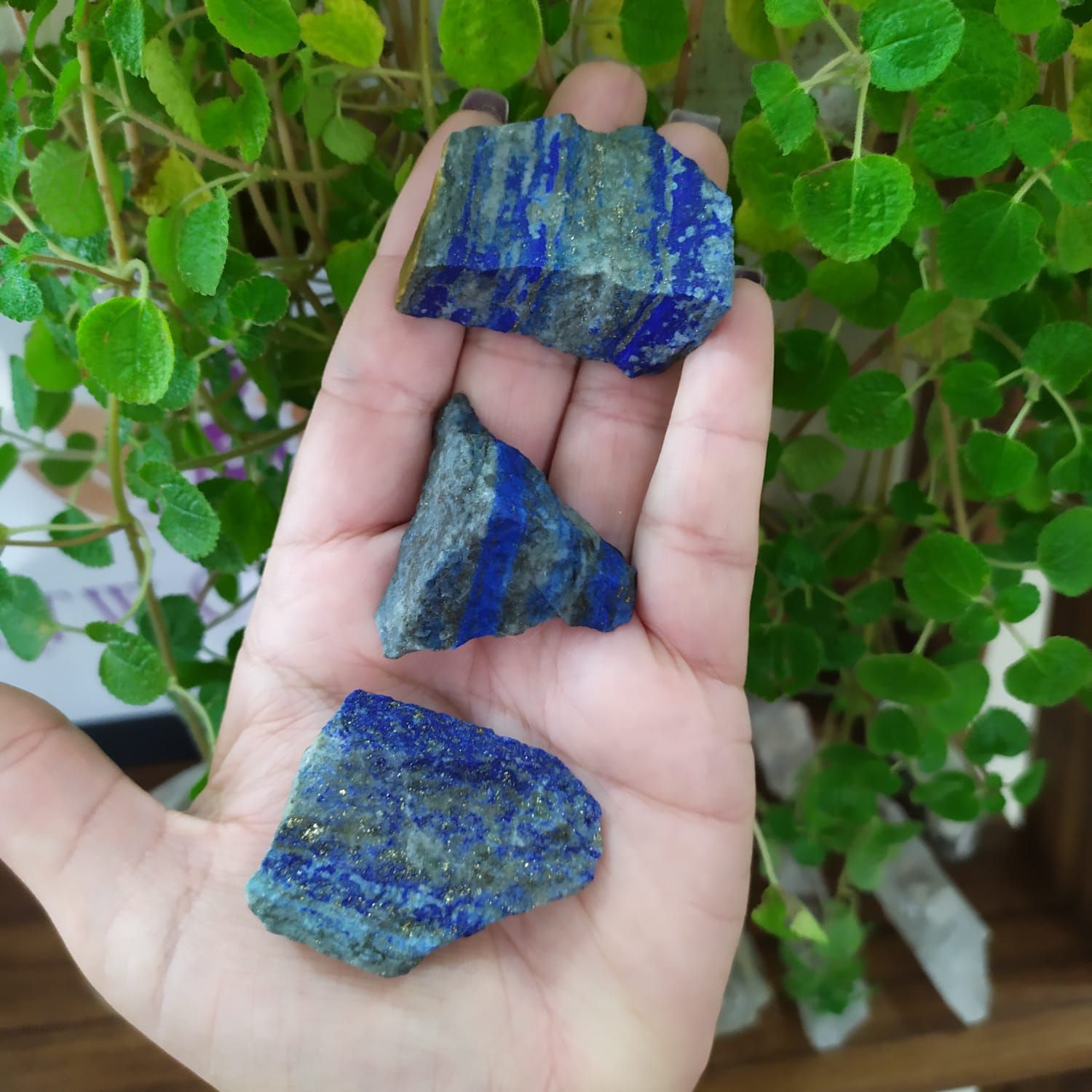 PEDRA BRUTA LÁPIS LAZÚLI P- COMUNICAÇÃO | Ktw Cristais