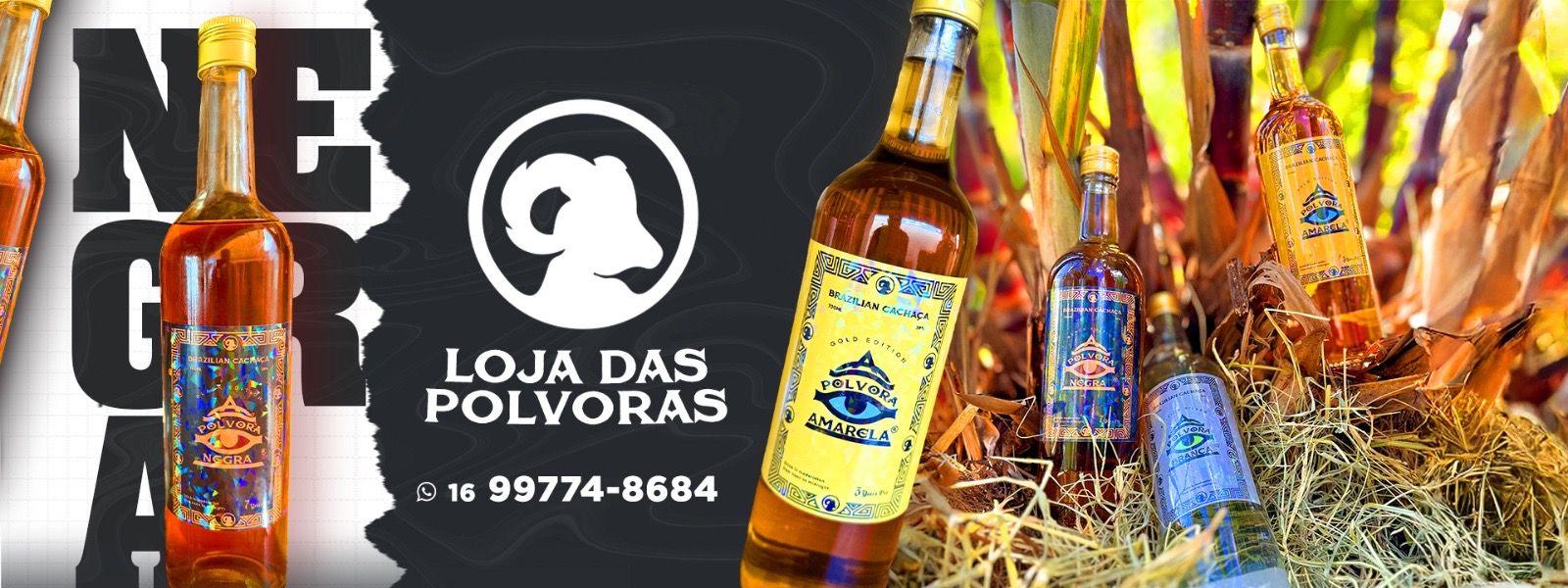 Descrição da imagem