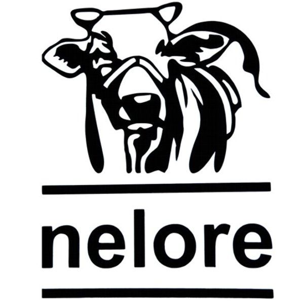 Adesivo Nelore | Atacado Selaria Pinheiro