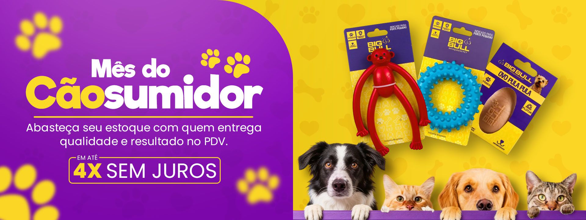 Descrição da imagem