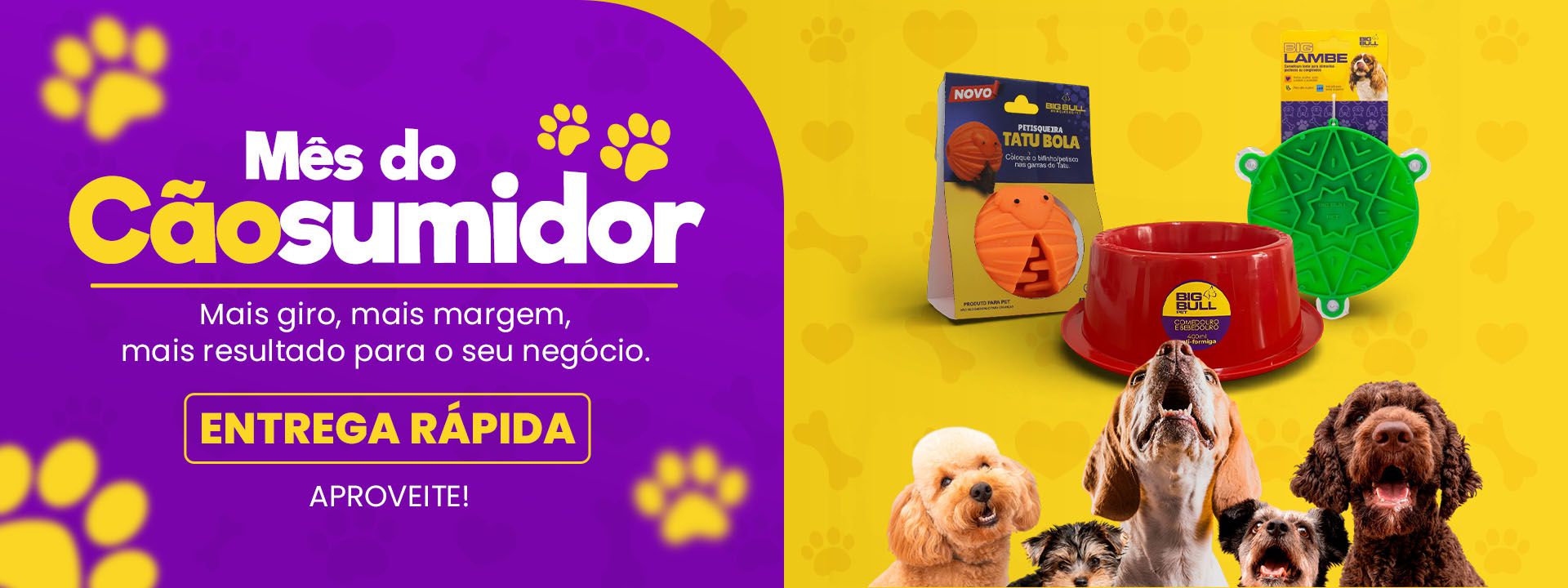 Descrição da imagem