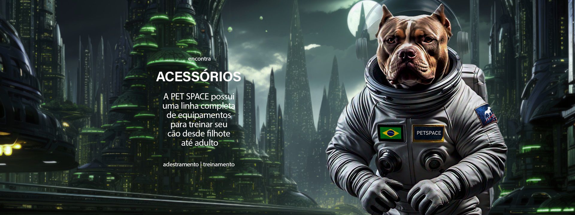 Descrição da imagem