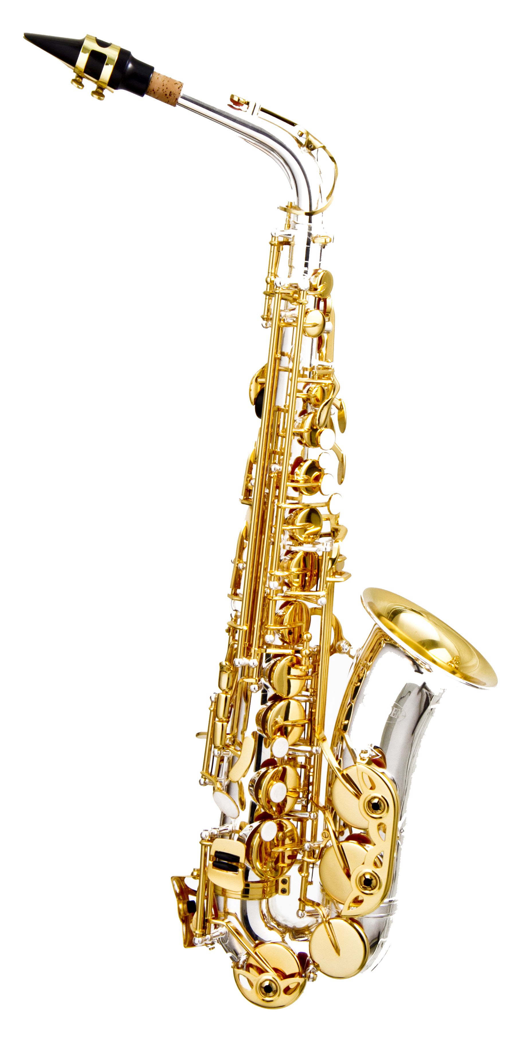 Sax Alto Hoyden Prata com chaves Douradas RAINHA MUSICAL