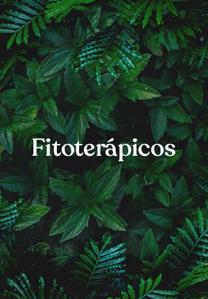 Fitoterápicos