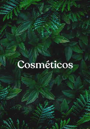 Cosméticos