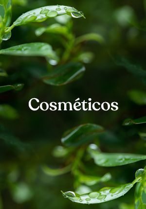 Cosméticos