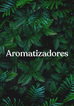 Aromatizadores 