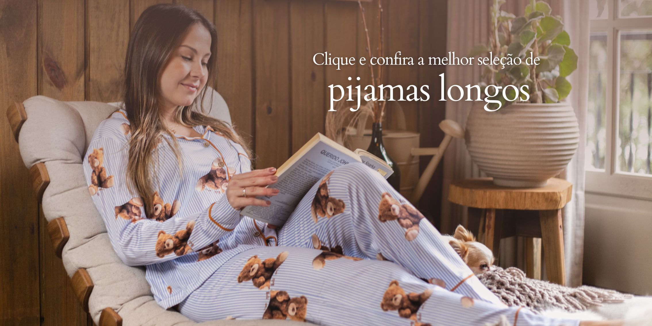 Descrição da imagem