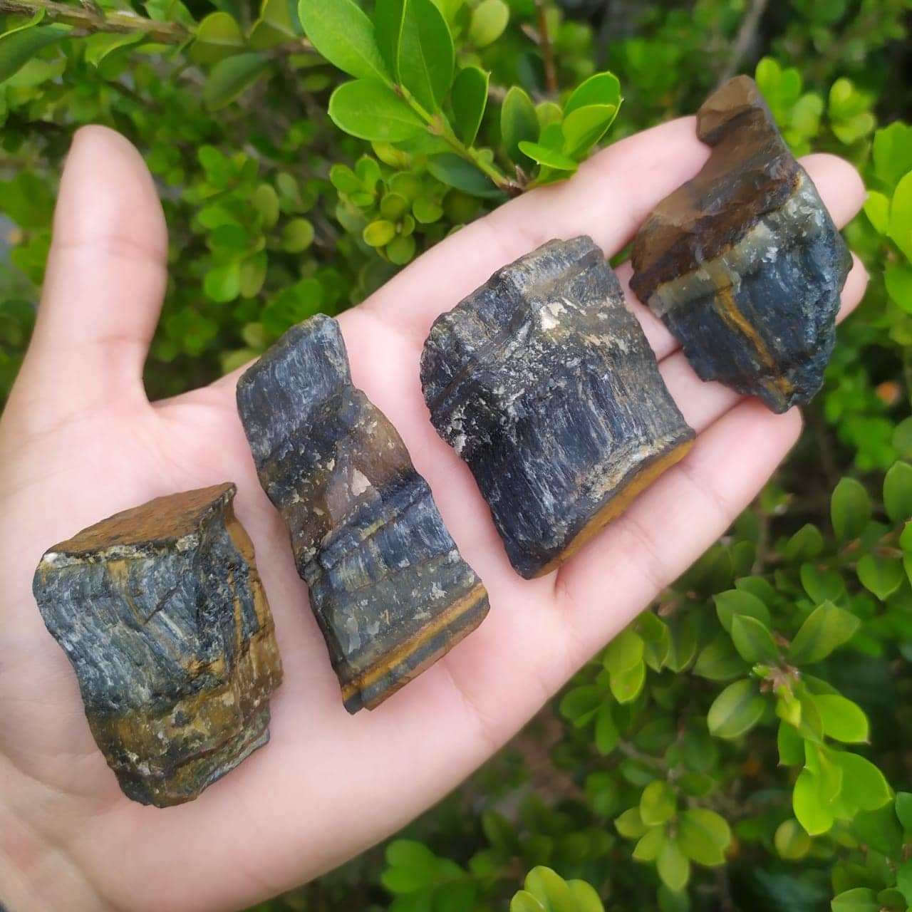 PEDRA BRUTA OLHO DE FALCÃO VISÃO