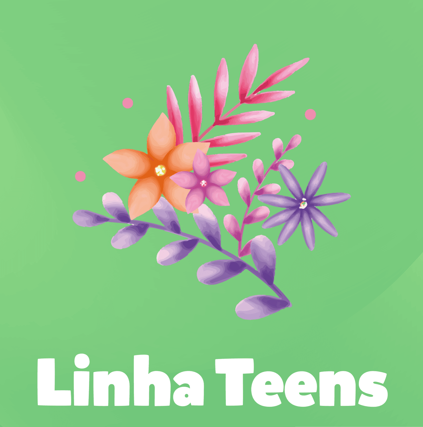 LIMPEZINHA
