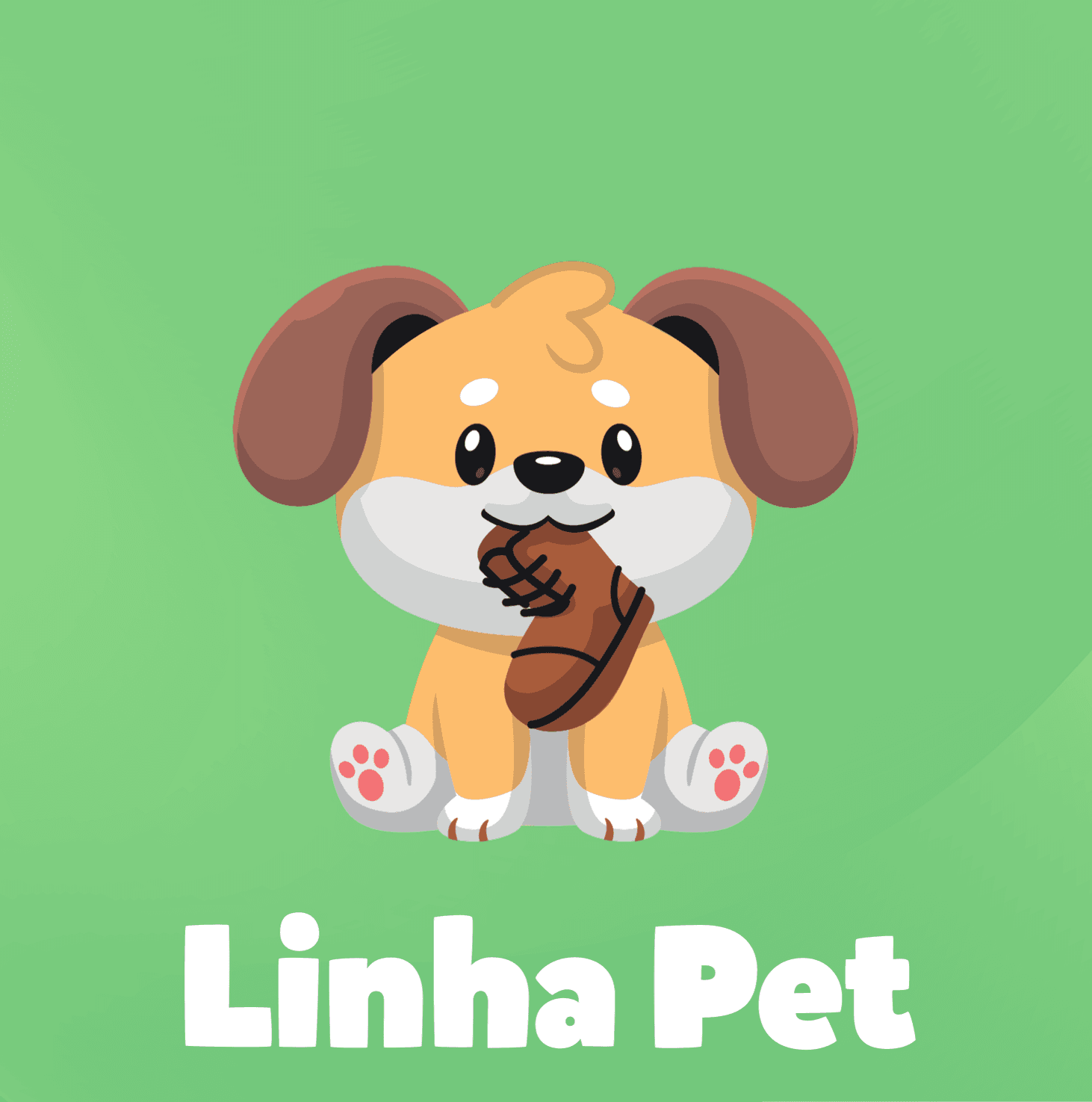 LINHA PET