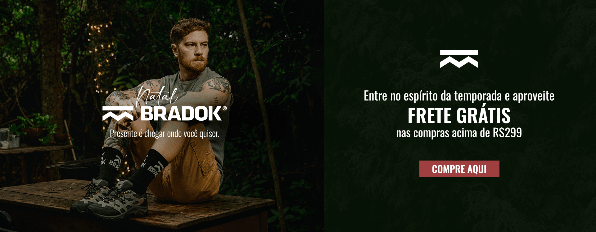 Descrição da imagem