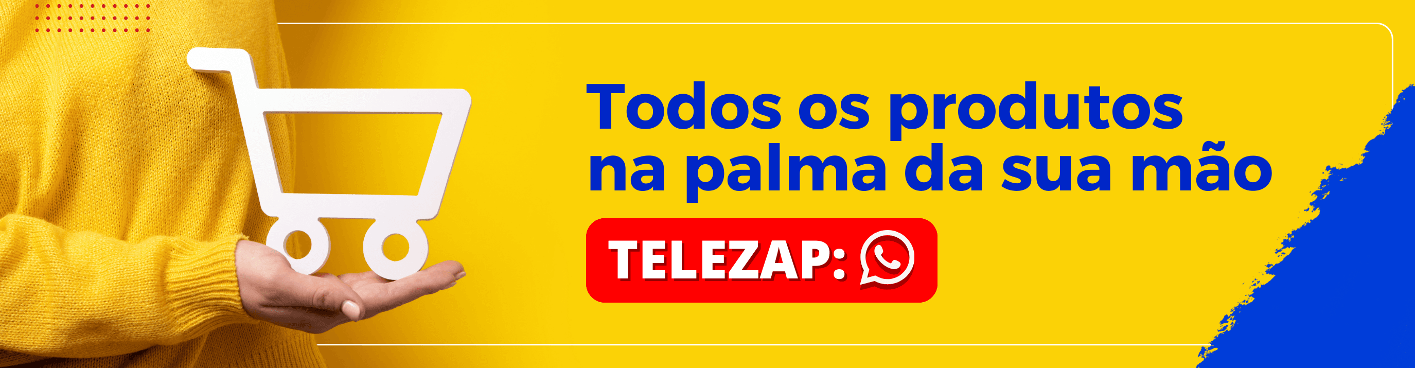 TELEZAP