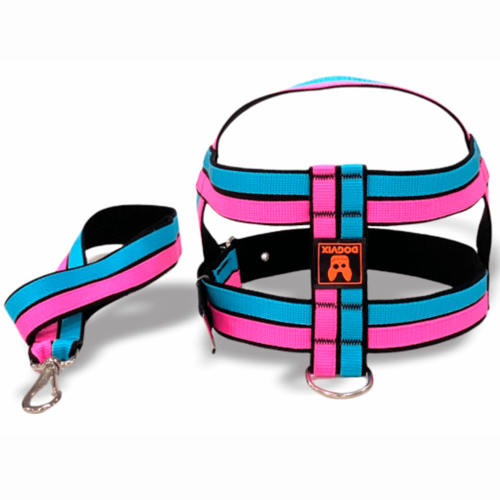 patty Peitoral Neon Paty 40mm | Dogvix