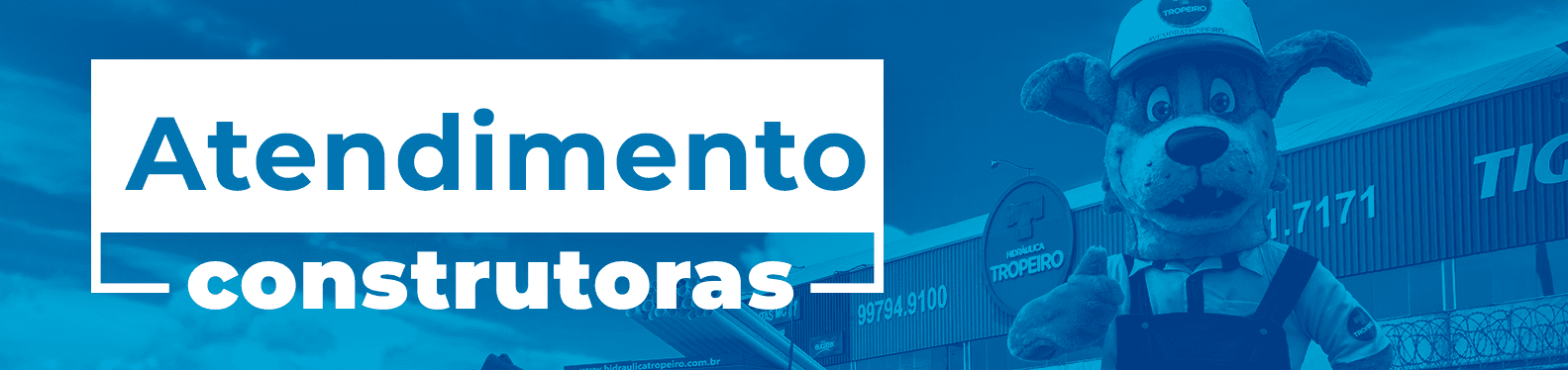 Descrição da imagem
