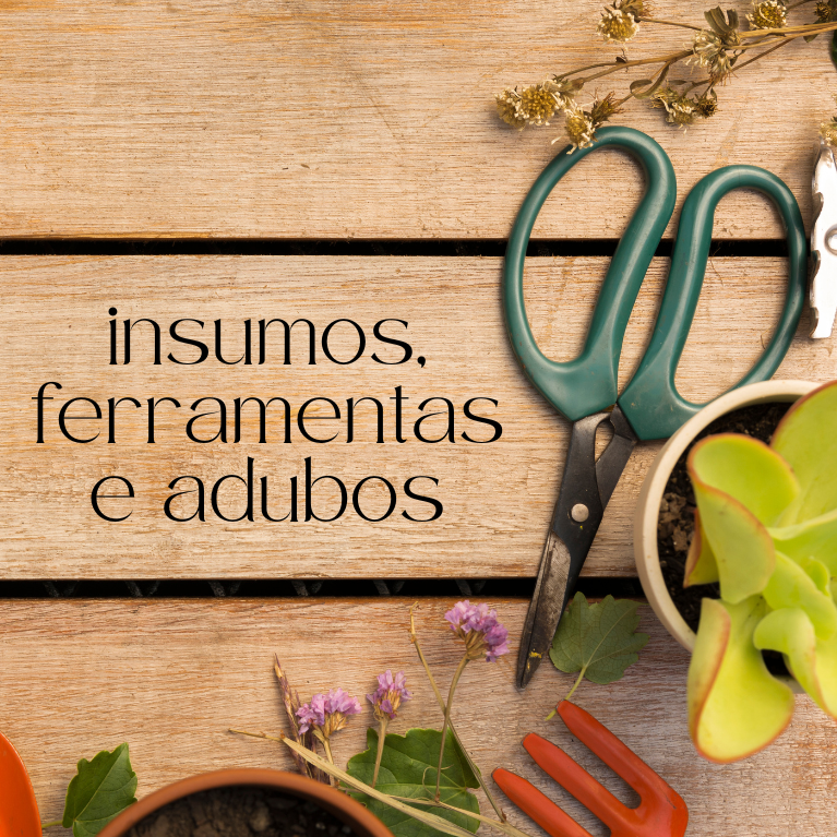 insumos