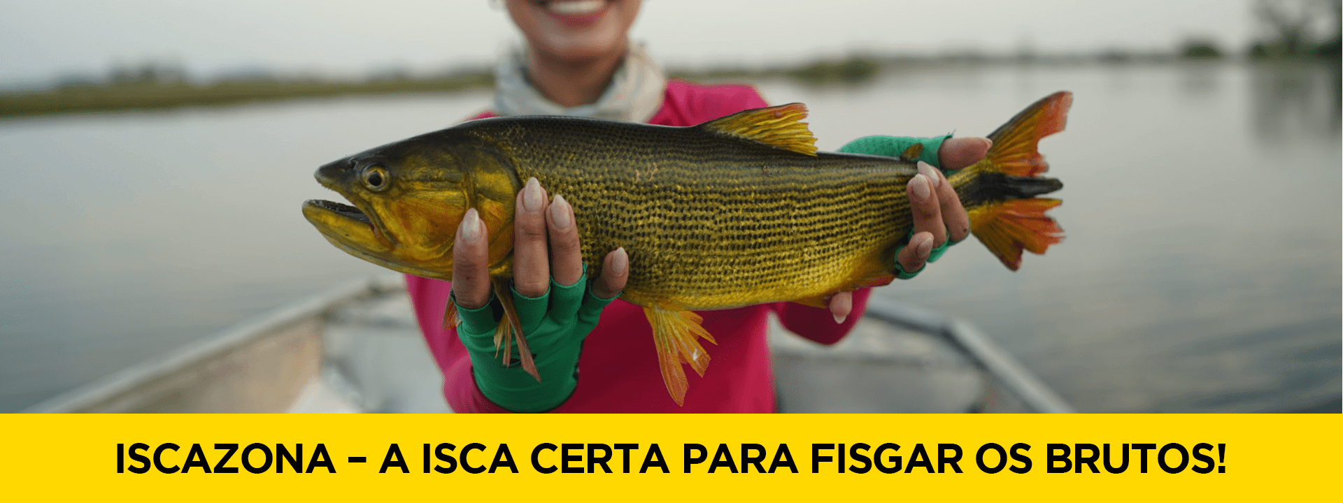 Descrição da imagem