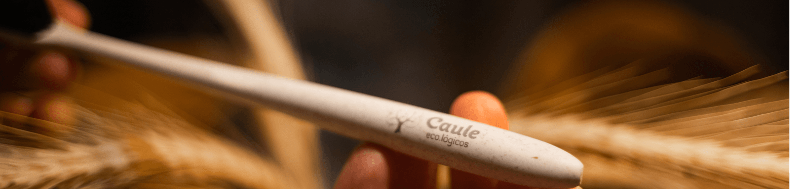 Escova de bioplástico compostável de palha de trigo 