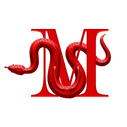Logo de MAISON UPCYCLING