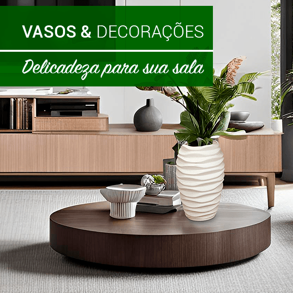 Vasos e Decorações