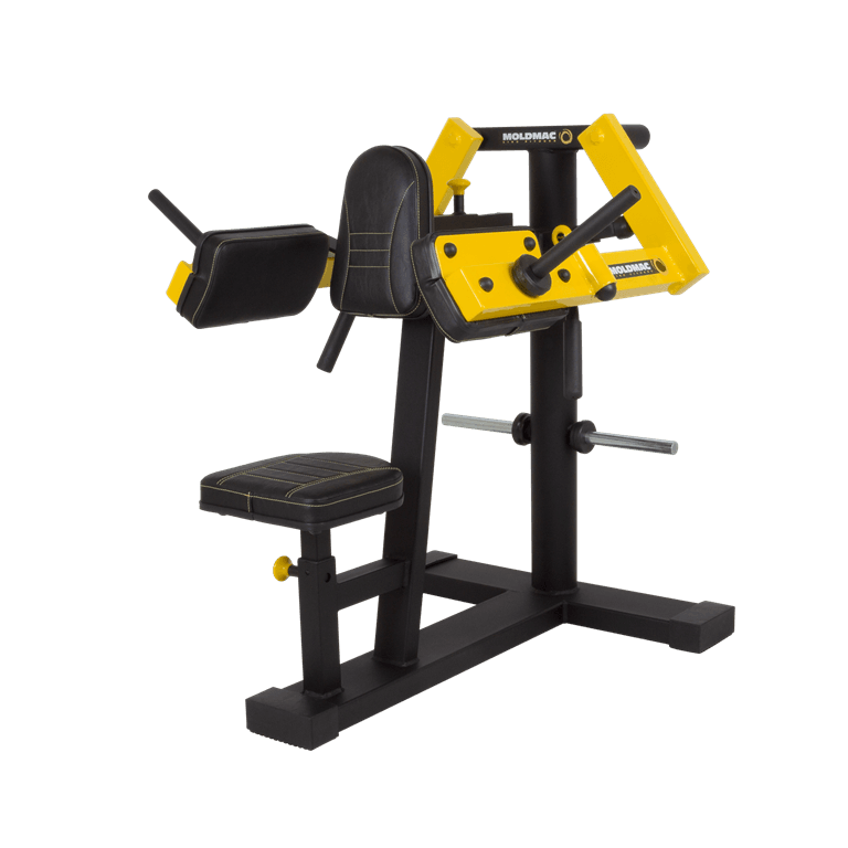 Desenvolvimento de Ombro Lateral Articulado | MOLD MAC FITNESS