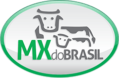 MX DO BRASIL