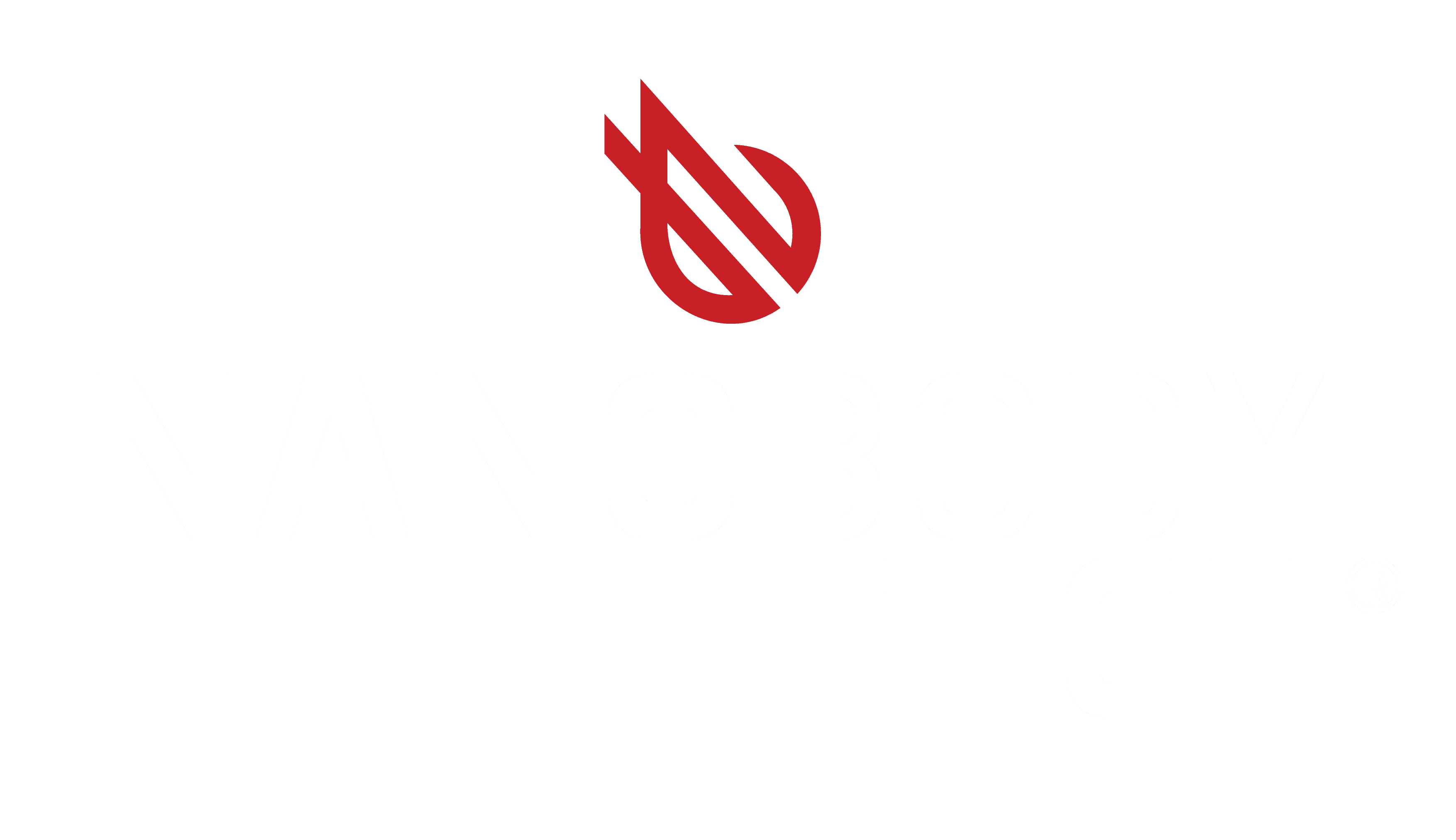 NanoBodyTech