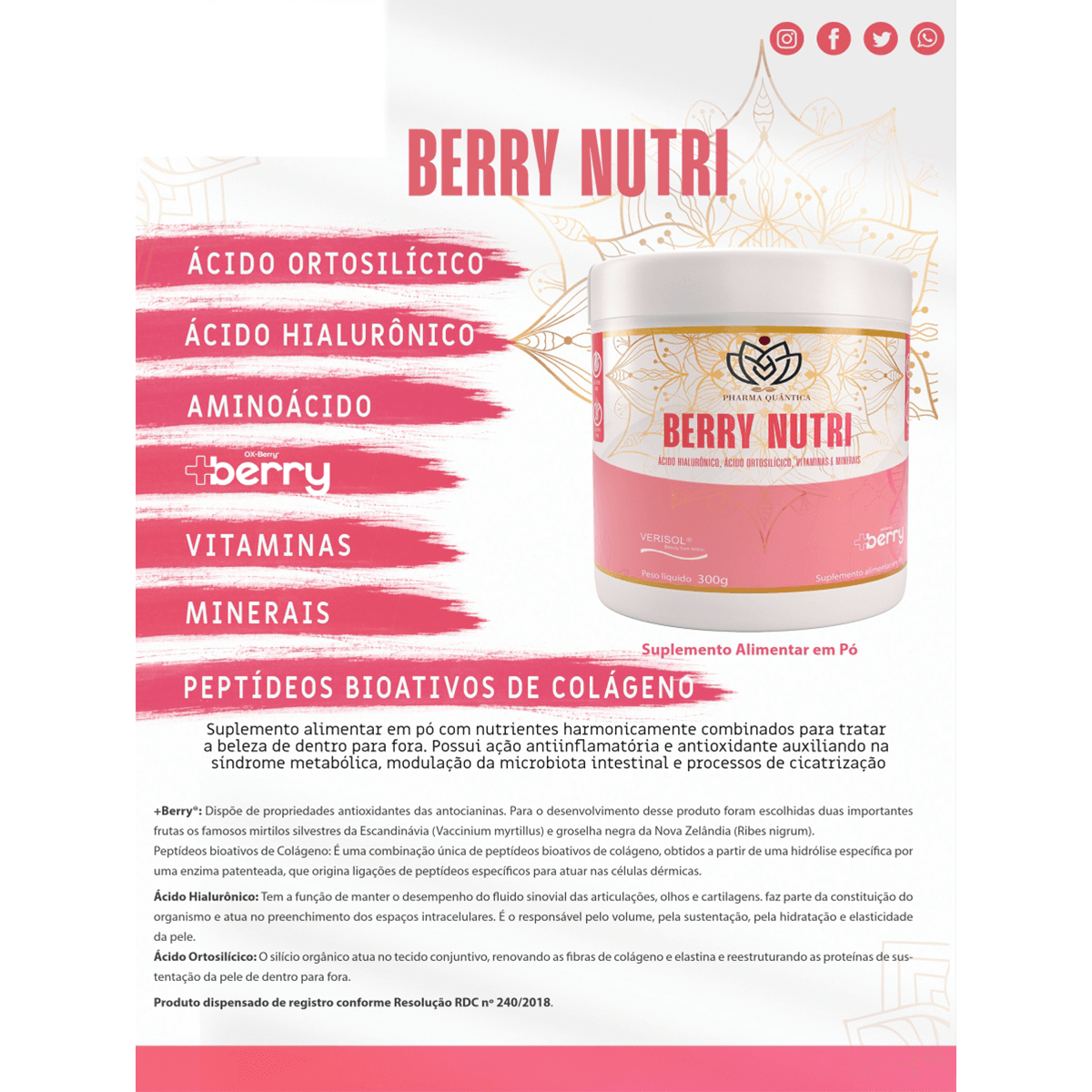 Suplemento em Pó Berry Nutri New Quantic