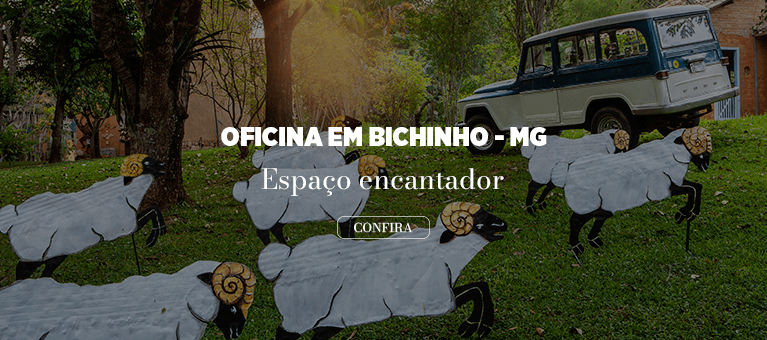 Oficina em Bichinho