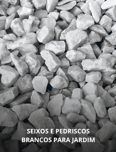 Seixos e Pedriscos