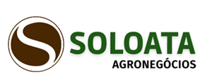 SOLOATA