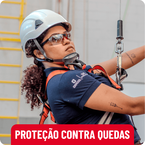 Descrição da imagem