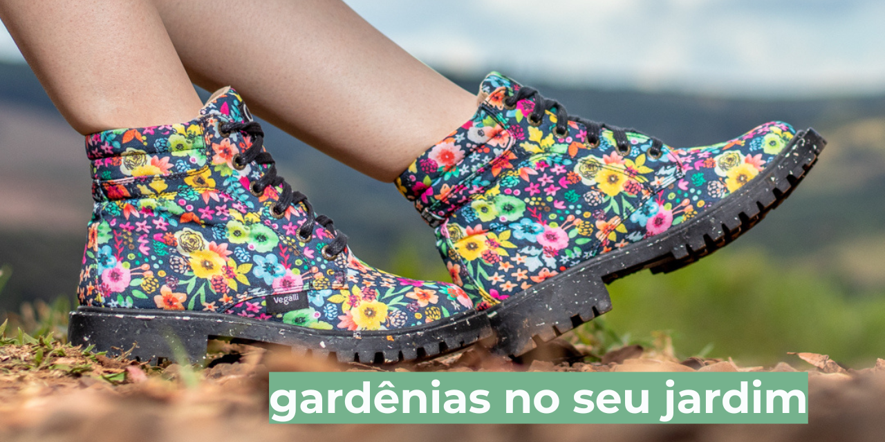 Descrição da imagem