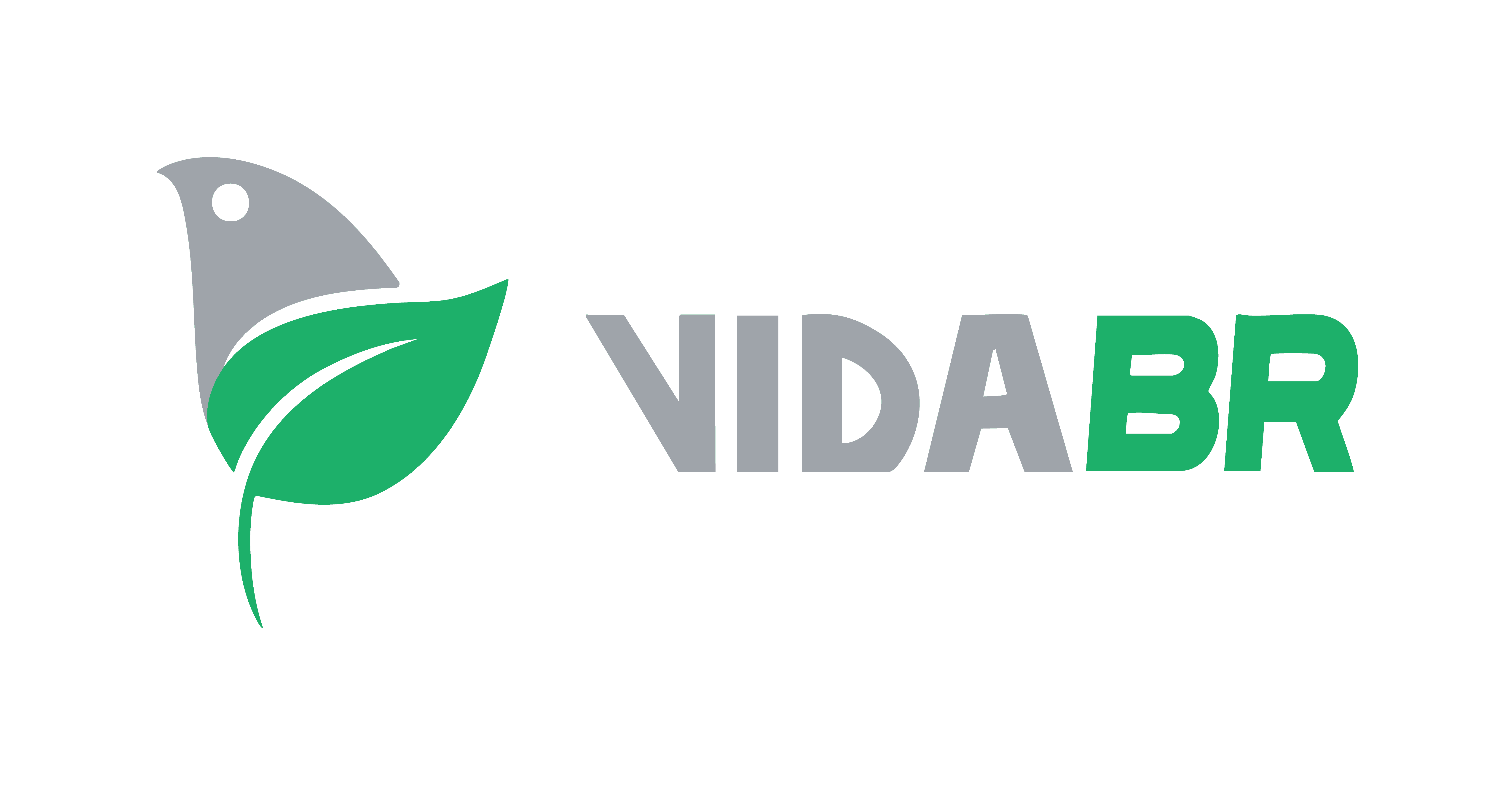 VIDA BR