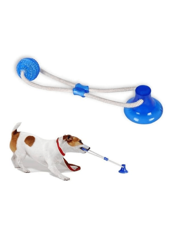 Push ball cachorro clearance