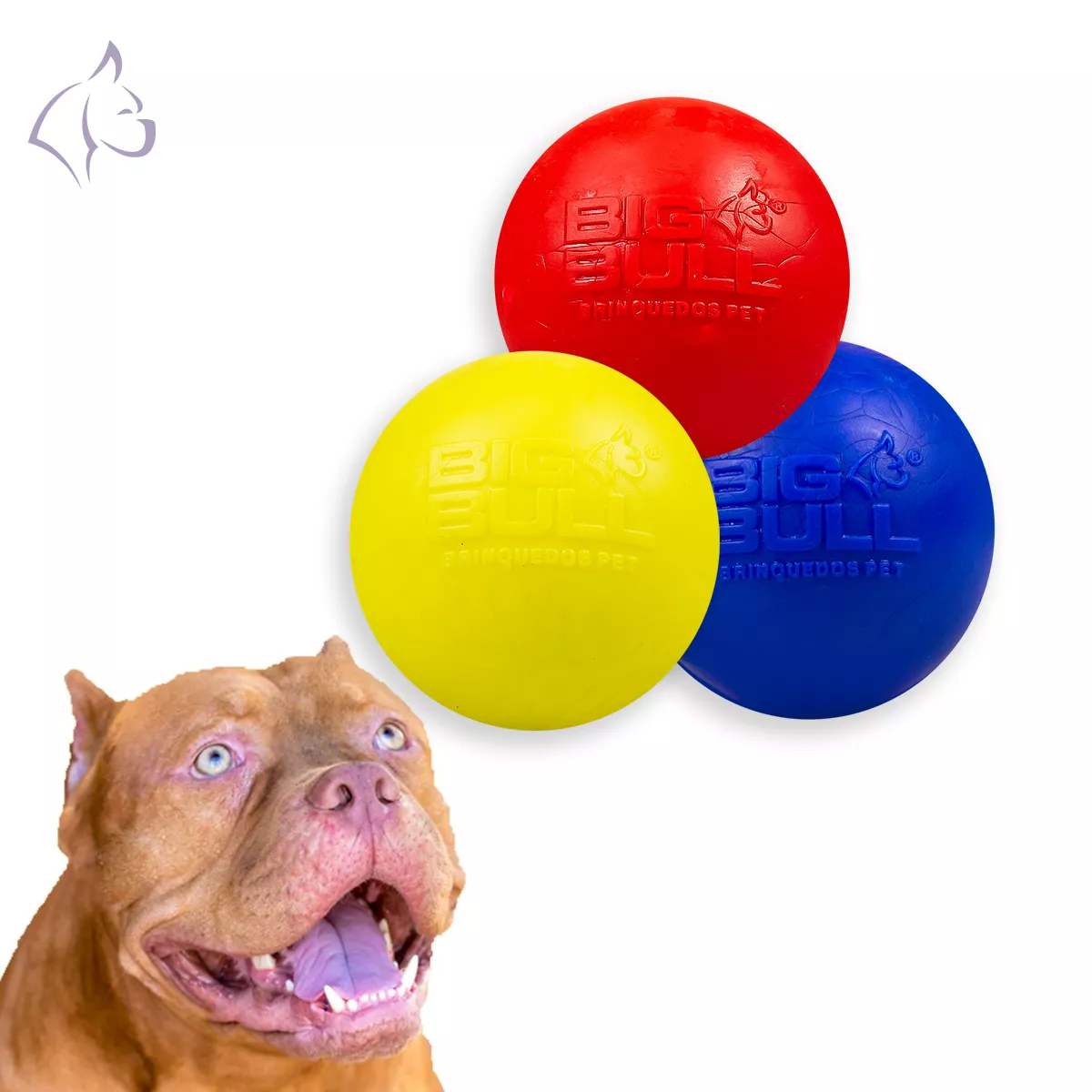 Kit 03 Bolas Lisas Porte Grande - Big Bull Pet | BIG BULL PET