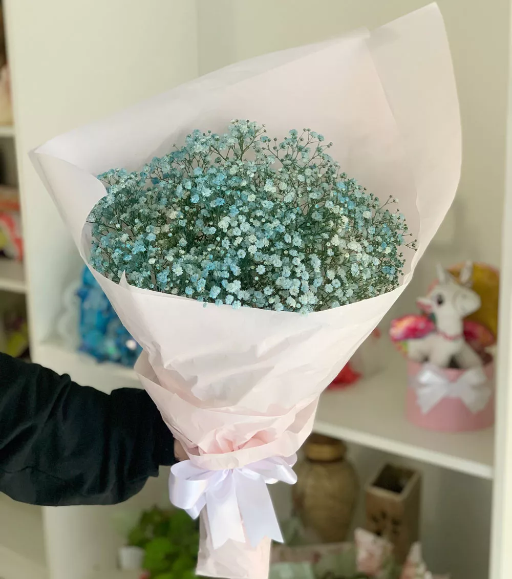 Gypsophila Azul | Floricultura FLORA BARIGUI