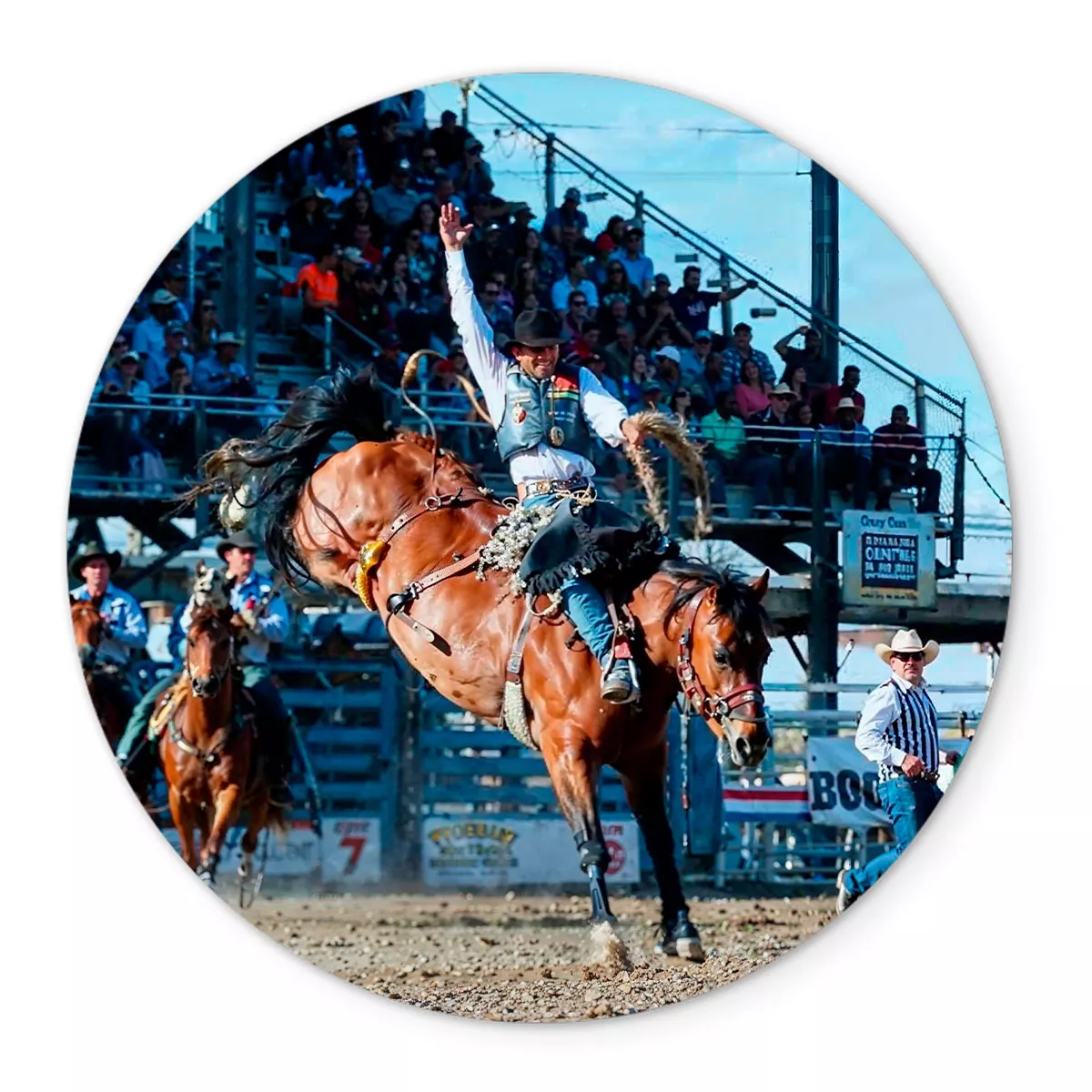Painel Redondo Veste Fácil C/ Elástico Rodeio Cavalo | ESTAMPARIA NET