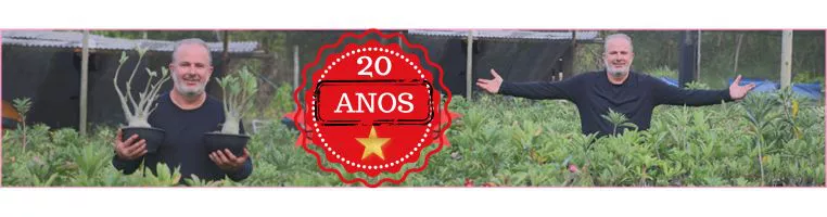 20 Anos No Mercado
