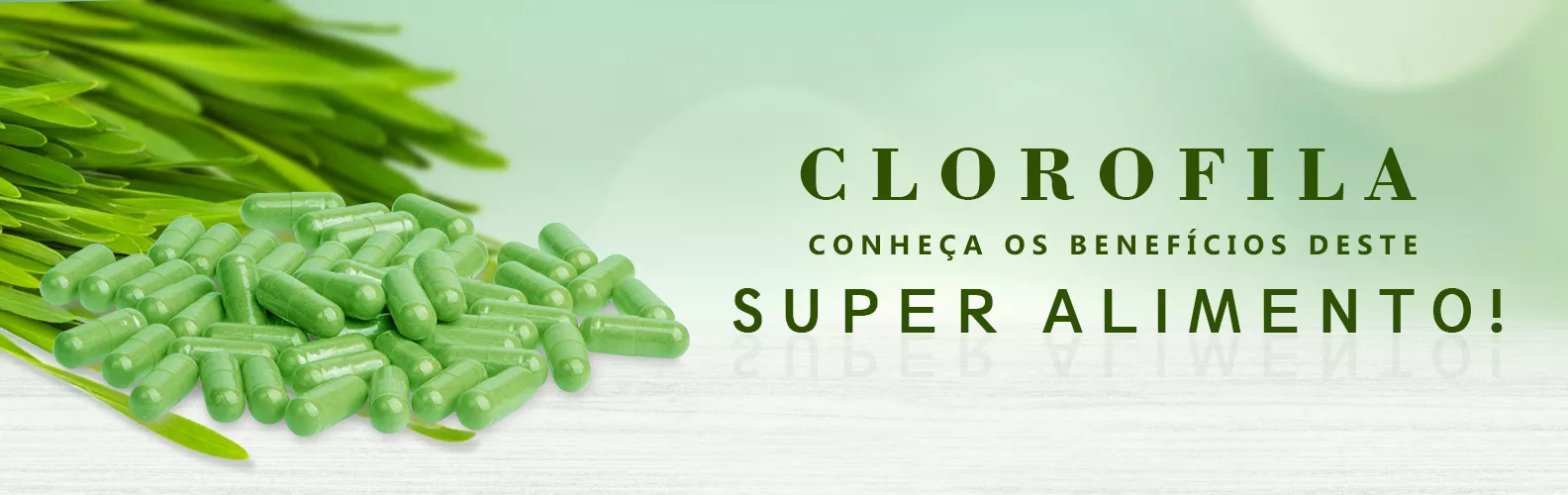 Clorofila