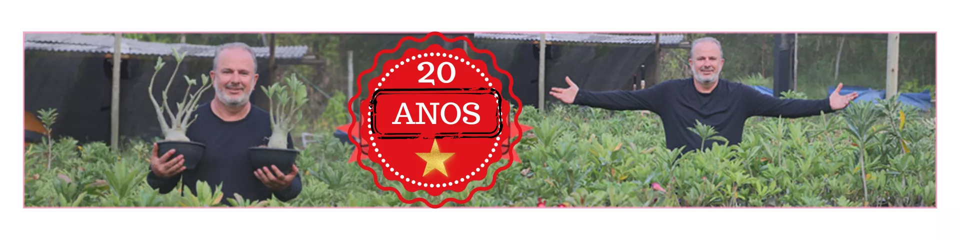 20 Anos No Mercado