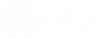 Obsidian Style