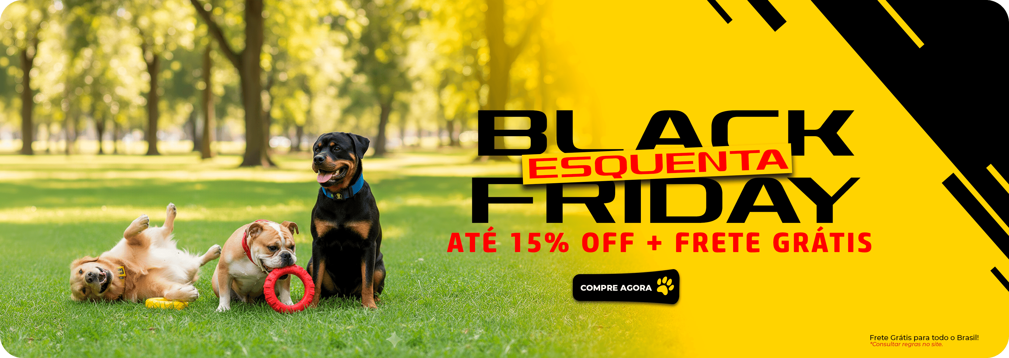 Descrição da imagem