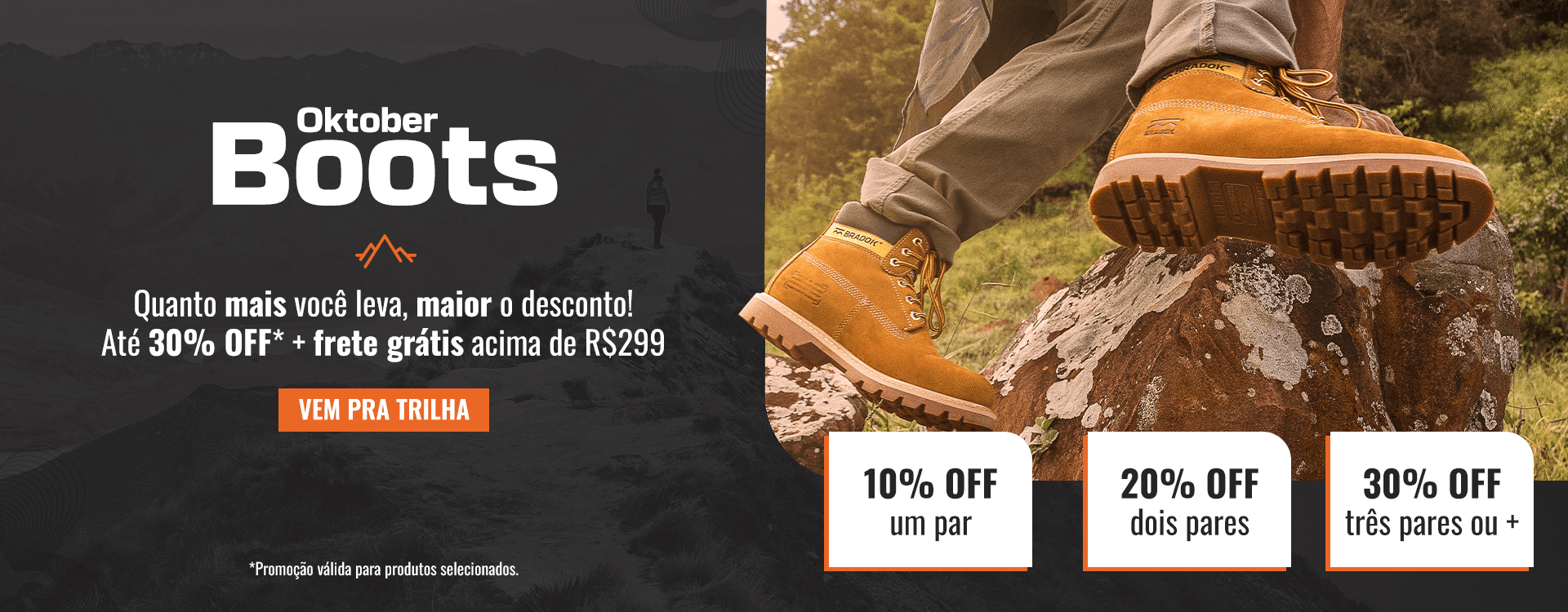 Descrição da imagem