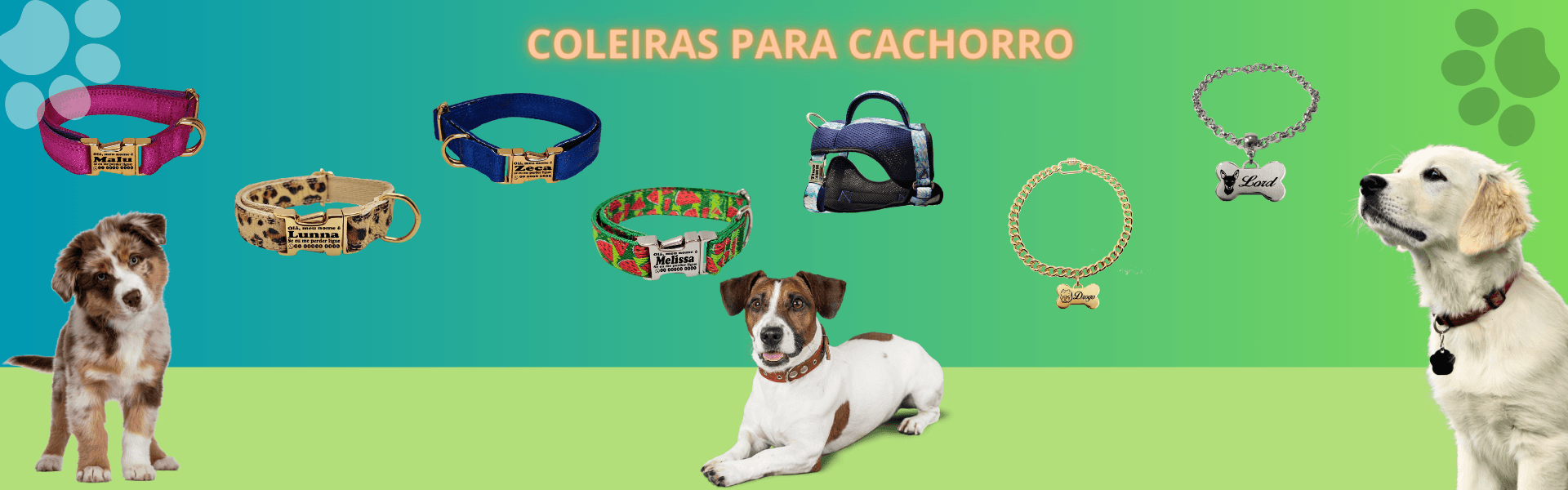 Descrição da imagem